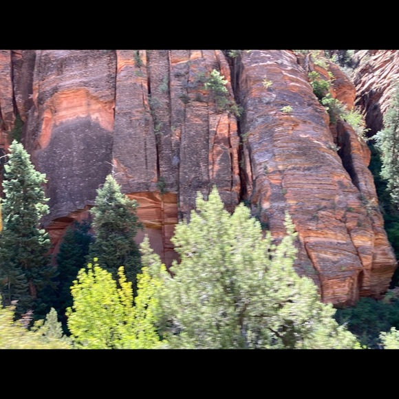 Zion National Park, Utah SO BEAUTIFUL!!! - Picture 4 of 6